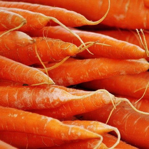 Pile of Fresh Carrots
