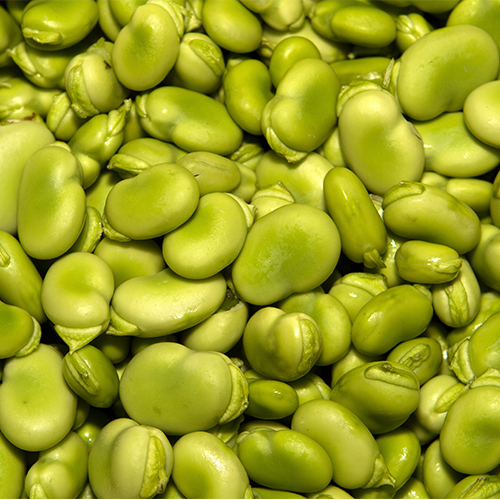 Lima Beans